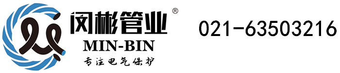 大玩家app下载